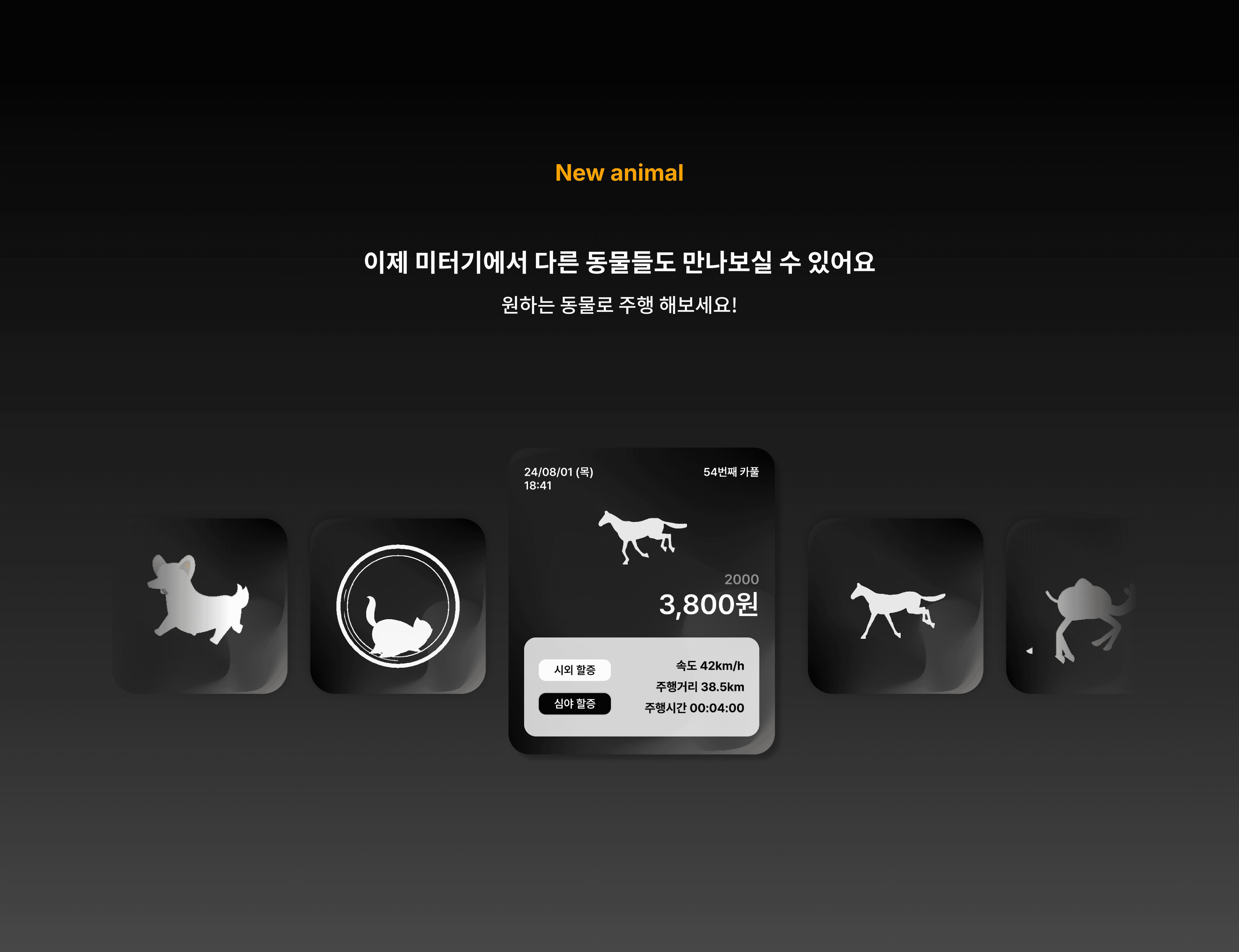 카풀미터기 - 섹션 6